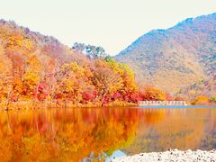 -龙道沟景区
