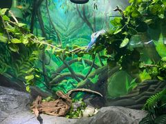 -上海海洋水族馆