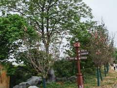 -天适樱花悠乐园