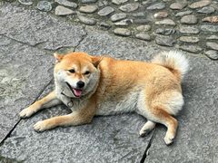 -前童古镇