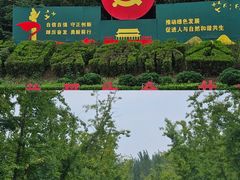 -黄河故道国家森林公园