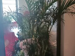 -大逸传奇·足道SPA(天美店)