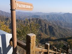 -大岭沟猕猴桃谷风景区