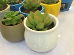 -易改衣·专业衣物奢护中心(珠江新城猎德店)