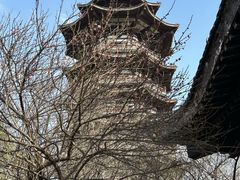-洋湖国家湿地公园
