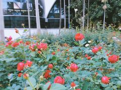 -人民公园(罗湖区)