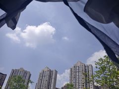 -洋湖国家湿地公园