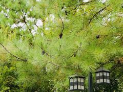 -苏州环秀晓筑养生度假村