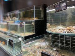-浩运·海鲜青岛菜·海胆水饺(石老人店)