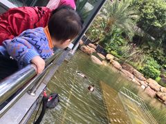 -南宁荔园维景国际酒店·荔园中餐厅