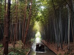 -同里国家湿地公园