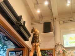 -猫的天空之城概念书店(杭州南宋御街店)