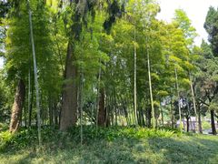 -成都武侯祠博物馆