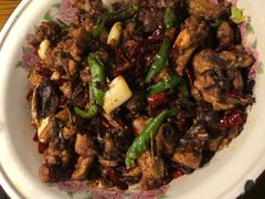 -杜婆鸡跳跳蛙(亿都店)