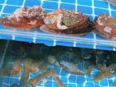 -宾朋海鲜美食特色餐厅·纯手工鲅鱼水饺(兴海路店)