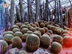 -南山植物园