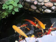 -江南环球港