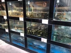 水产区-院8里·少城记忆老川菜(宽窄巷子店)