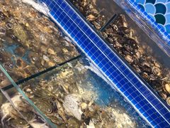 水产区-乔哥铭洋海鲜自助(皇城恒隆广场店)