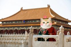 -CD视觉婚纱摄影