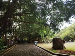 -海口火山口国家地质公园