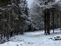 -硗碛藏寨·神木垒景区