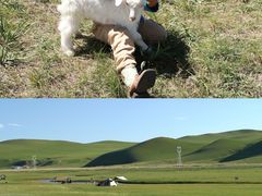 -牛街·马辈儿涮肉(牛街总店)