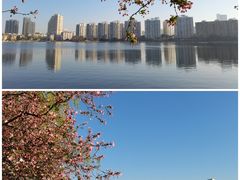 -莫愁湖公园