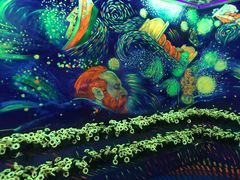 -天津梵高星空艺术馆(天河城旗舰店)