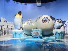 -海合安天津极地海洋公园