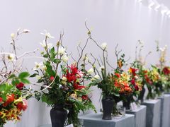 -深圳国际园林花卉博览园