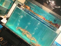 水产区-潮粤香海鲜酒楼(沙湖店)