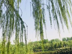 -西安汉城湖景区