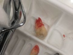 -上海市徐汇区口腔医院