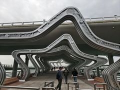 -演武大桥观景平台