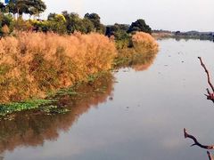 -鹤之洲湿地公园