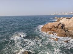 -小麦岛公园