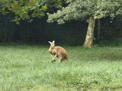 -杭州野生动物世界