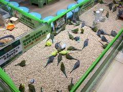-北京华联购物中心(同成街店)