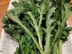 茼蒿-呷哺呷哺(融创茂店)