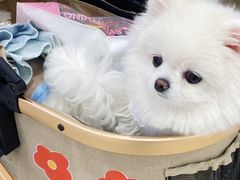 -开元商城(西旺店)