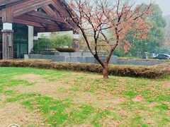 -苏州环秀晓筑养生度假村