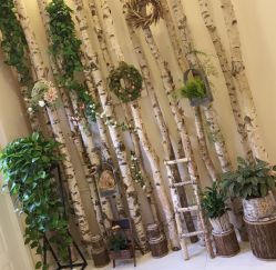 -新蝶变皮肤管理中心