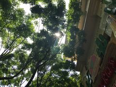 -Cactus墨西哥仙人掌餐厅