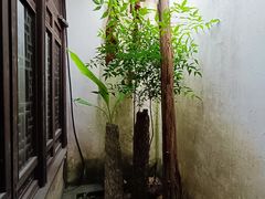 -潜研堂钱大昕故居