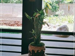 -白云中餐厅·粤菜·亚龙湾喜来登度假酒店