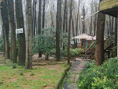 -林间山庄