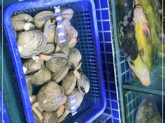 -必点海鲜·鲅鱼水饺(鞍山西道店)