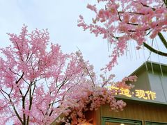 -首开·龙湖成都西宸天街