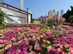 -海心沙亚运公园